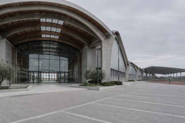 Finanziamenti, premi e interventi sportivi nel 2026