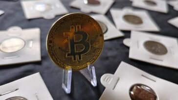 pexels sijo varghese 13402959