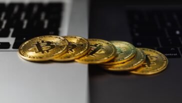 pexels karolina grabowska 5980745