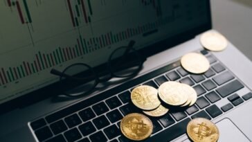 pexels leeloo thefirst 8919573