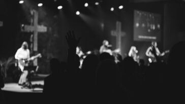 pexels brett sayles 11893153