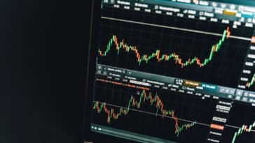 pexels alesia kozik 6781273