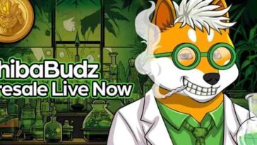 shiba budz budz investimentimagazineit