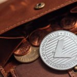 litecoin dogecoin differenze