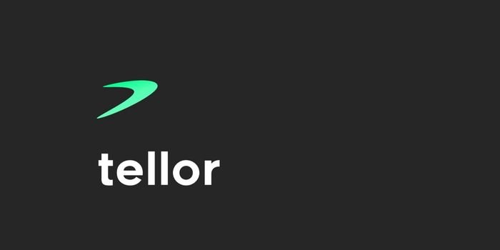 Previsão de preço do TRB (Tellor) 2024-2030: É um bom investimento?