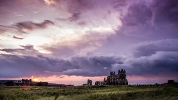 pexels peter spencer 663487