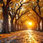 Pianificazione Pensione per una Vita Sereno 6790df0844b2f