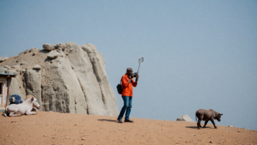 investindo na bolsa brasileira oportunidades e desafios em 2025 python 1753560612