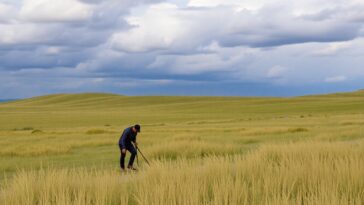 desbloqueando o potencial de negociacao com plataformas inovadoras 1760505947