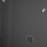 flamengo se aproxima do palmeiras na corrida por titulos nacionais 1764826641