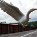 perspectivas de crescimento dos fundos de indice de criptomoedas em 2026 1765310234