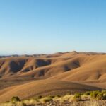 xp intensifica a supervisao e melhoria dos consultores financeiros 1765007627