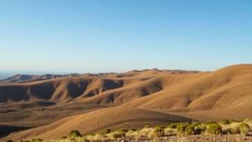 xp intensifica a supervisao e melhoria dos consultores financeiros 1765007627