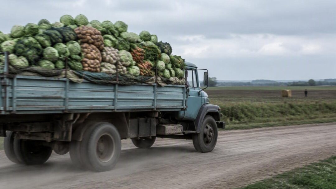 Agropecuária cresce em junho enquanto outros setores recuam