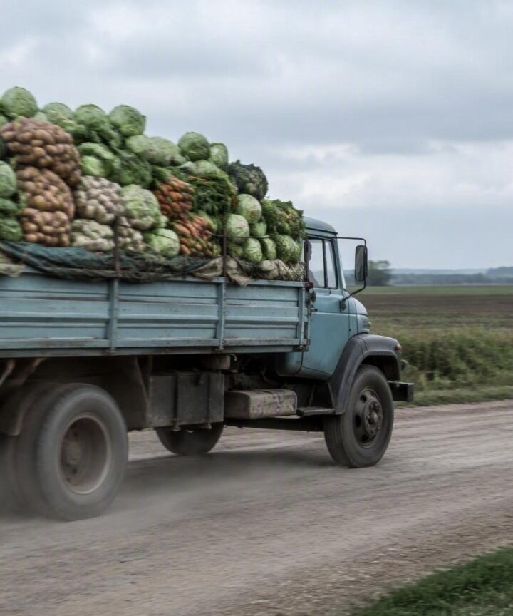 Agropecuária cresce em junho enquanto outros setores recuam