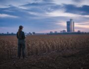 Análise dos resultados do Banco do Brasil e perspectivas para o agronegócio