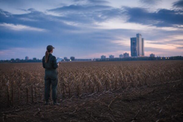 Análise dos resultados do Banco do Brasil e perspectivas para o agronegócio