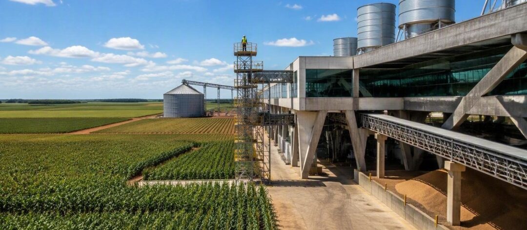 Como a agroindústria está transformando a agricultura familiar em Lucas do Rio Verde