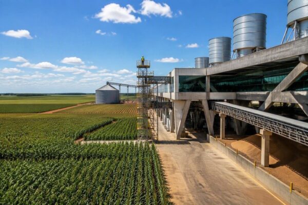 Como a agroindústria está transformando a agricultura familiar em Lucas do Rio Verde
