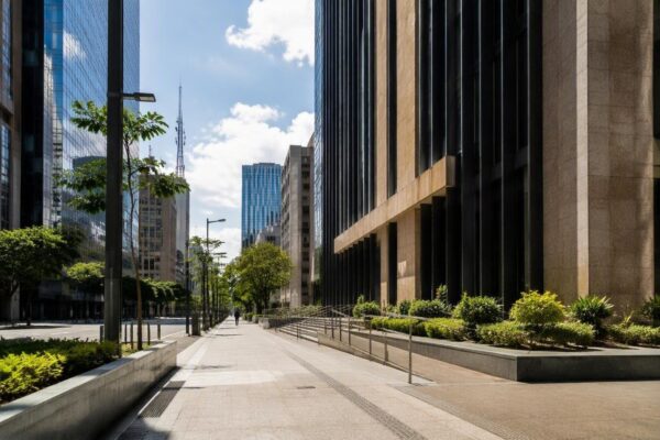Ibovespa e riscos políticos: o que esperar do mercado brasileiro em 2026