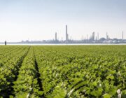 Como o petróleo e a agropecuária impulsionaram o superávit comercial do Brasil em 2026