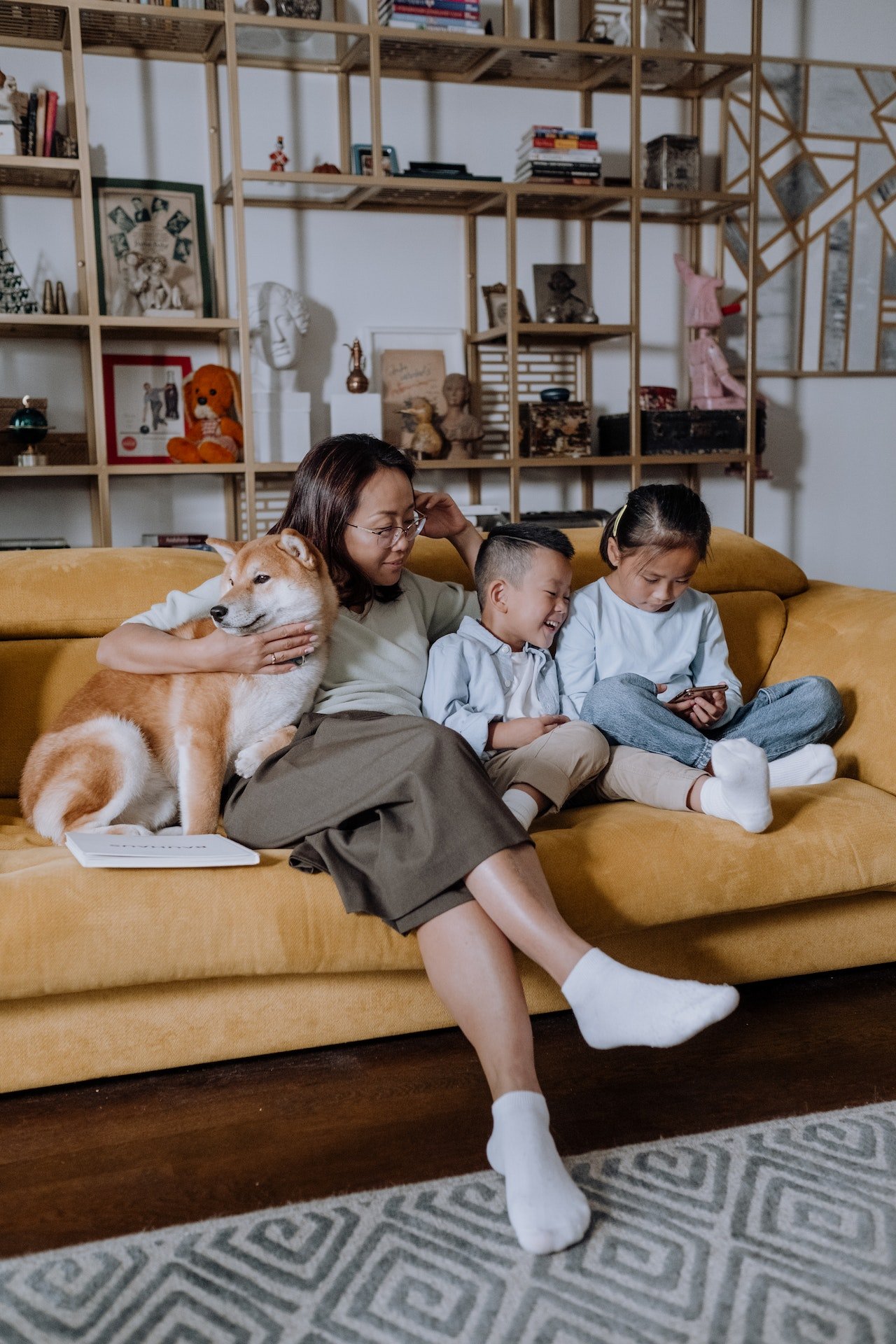 Shiba Inu Coin will reach 1 dollar by 2030