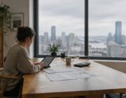 Understanding Minsky moments and investor risk controls