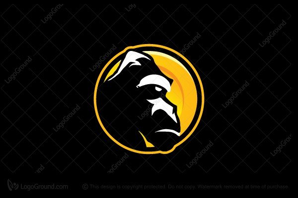Prévision du prix de Gorilla Coin 2024-2030 : est-ce un bon investissement ?