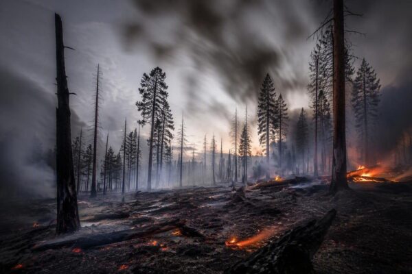 Incendies 2026 : la France mobilise ses moyens face à une crise historique