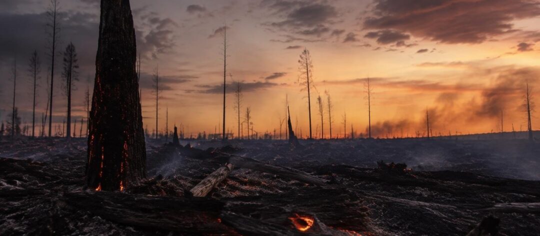 Incendies en France : un été marqué par des records historiques