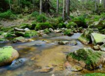 ecotourism