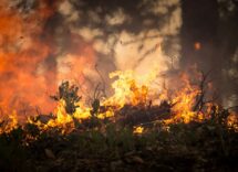 fires
