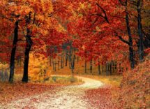 autumn vacation