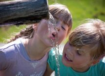 pfas in water