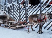 sami peoples