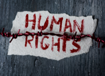 fundamental rights