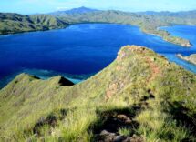 island of komodo