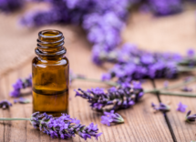 Lavender Essential Oils