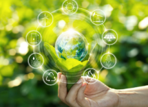 Renewable Energies