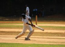 understanding cricket