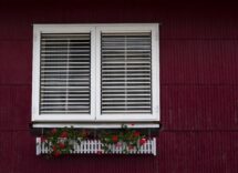 choosing window blinds or shutters