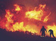 fire indenosia