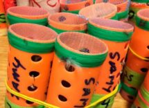 man hiding finches arrested