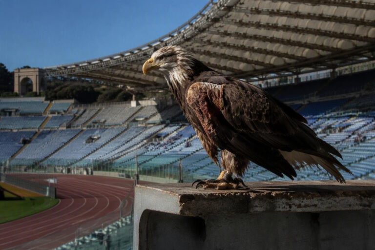 Lazio, disavventure a catena: l’aquila Olimpia si infortuna e la squadra soffre