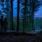 Famiglia nel bosco: riavvicinamento graduale tra i bambini e i genitori