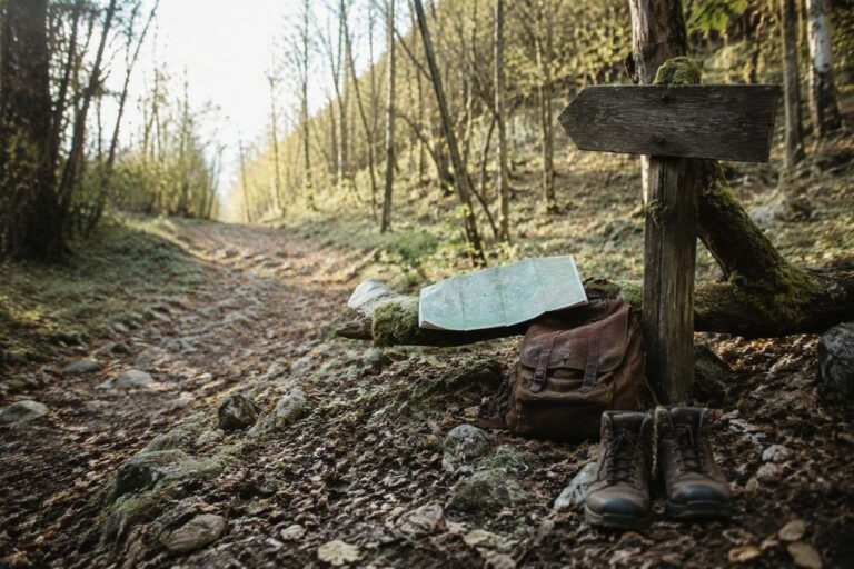 Rientro graduale per i bambini della famiglia nel bosco di Palmoli