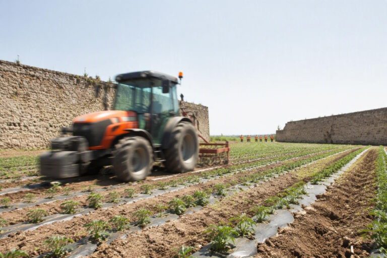 Visita istituzionale alla Balzana: Foti, Ferro e Gratteri a Santa Maria La Fossa