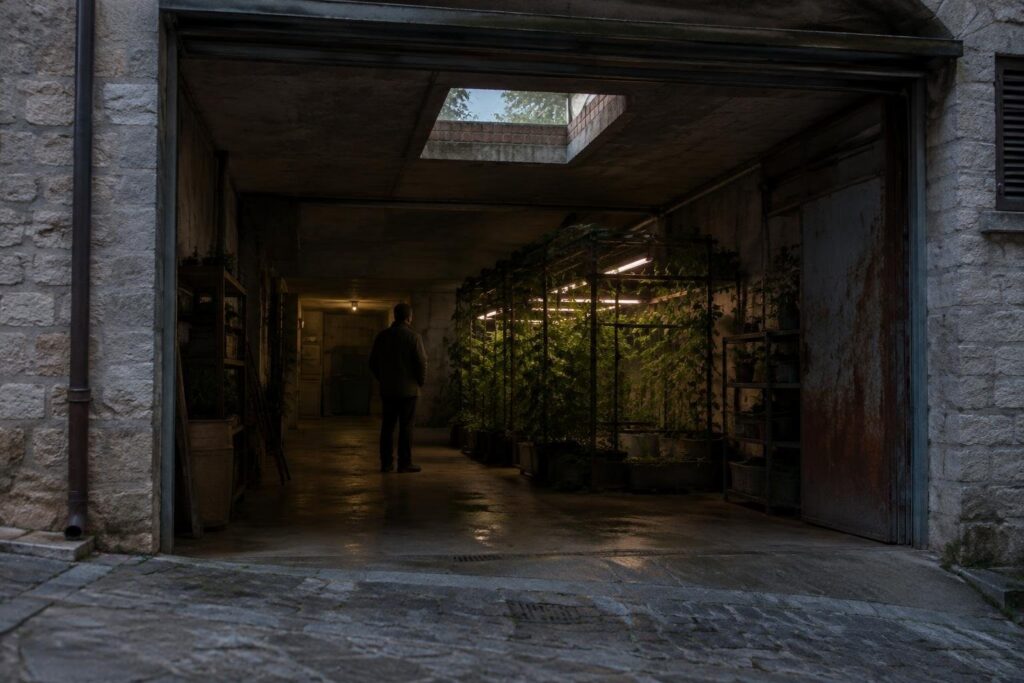 Uomo 53enne condannato a 4 anni per coltivazione di marijuana in garage chietino