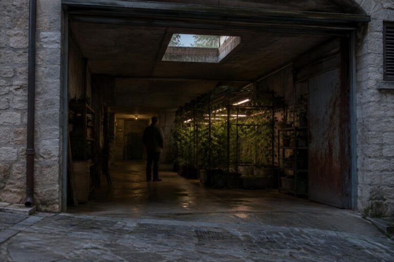 Uomo 53enne condannato a 4 anni per coltivazione di marijuana in garage chietino