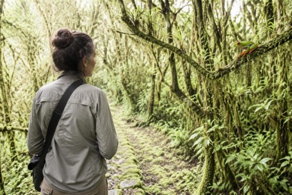 Discover the Misunderstood Creatures of the Wild